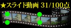 スライド動画31